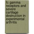 Fc gamma receptors and severe cartilage destruction in experimental arthritis