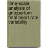 Time-scale analysis of antepartum fetal heart rate variability by C.H.L. Peters