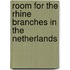 Room for the Rhine branches in the Netherlands