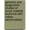 Genomic And Epigenomic Studies Of Acute Myeloid Leukemia With Cebpa Abnormalities door B. Wouters