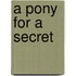 A pony for a secret