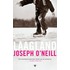 Laagland