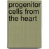 Progenitor Cells from the Heart