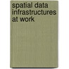 Spatial data infrastructures at work door Esra Dessers