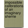 Impossible calibrations of an imaginary Sherrie door Frederik Gruyaert