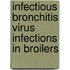 Infectious bronchitis virus infections in broilers