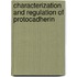 Characterization and regulation of protocadherin
