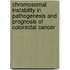 Chromosomal instability in pathogenesis and prognosis of colorectal cancer