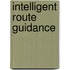 Intelligent route guidance