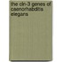 The cln-3 genes of Caenorhabditis elegans