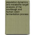 Population dynamics and metabolite target analysis of the sourdough and human colon fermentation process