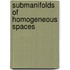 Submanifolds of homogeneous spaces