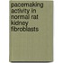 Pacemaking activity in normal rat kidney fibroblasts