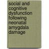 Social and cognitive dysfunction following neonatal amygdala damage by L. Diergaarde