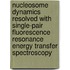 Nucleosome Dynamics resolved with Single-Pair Fluorescence Resonance Energy Transfer Spectroscopy