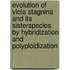 Evolution of Viola stagnina and its sisterspecies by hybridization and polyploidization