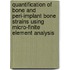 Quantification of bone and peri-implant bone strains using micro-finite element analysis