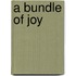 A bundle of joy