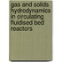 Gas and solids hydrodynamics in circulating fluidised bed reactors
