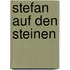 Stefan auf den Steinen