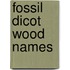 Fossil dicot wood names