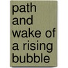 Path and wake of a rising bubble by A.W.G. de Vries