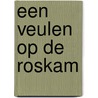 Een veulen op De Roskam by Vivian den Hollander