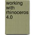 Working with Rhinoceros 4.0