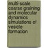 Multi-scale coarse graining and molecular dynamics simulations of vesicle formation