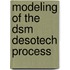 Modeling Of The Dsm Desotech Process