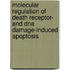 Molecular Regulation Of Death Receptor- And Dna Damage-induced Apoptosis