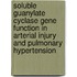 Soluble Guanylate Cyclase Gene Function in Arterial Injury and Pulmonary Hypertension