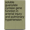 Soluble Guanylate Cyclase Gene Function in Arterial Injury and Pulmonary Hypertension door P. Vermeersch