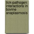 Tick-pathogen interactions in bovine anaplasmosis