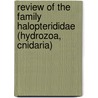 Review of the family Halopterididae (Hydrozoa, Cnidaria) door P. Schuchert