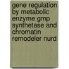 Gene Regulation By Metabolic Enzyme Gmp Synthetase And Chromatin Remodeler Nurd by Ashok Bandi Adinarayana Reddy