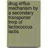 Drug efflux mechanism by a secondary transporter LmrP of Lactococcus lactis door P. Mazurkiewicz