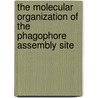 The molecular organization of the phagophore assembly site door Ester M. Rieter