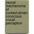 Neural mechanisms of context-driven conscious visual perception