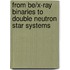 From Be/X-ray binaries to double neutron star systems
