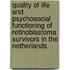 Quality of life and psychosocial functioning of retinoblastoma survivors in the Netherlands