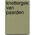 Knettergek van paarden