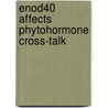 Enod40 affects phytohormone cross-talk door T. Ruttink