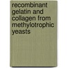 Recombinant gelatin and collagen from methylotrophic yeasts door E.C. de Bruin