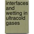 Interfaces and wetting in ultracold gases