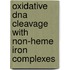 Oxidative Dna Cleavage With Non-heme Iron Complexes