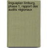 Linguaplan Limburg, Phase 1, rapport des audits régionaux by Willy Clijsters