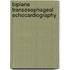 Biplane transesophageal echocardiography