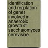 Identification and regulation of genes involved in anaerobic growth of Saccharomyces cerevisiae door I.S.I. Snoek
