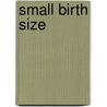 Small birth size door P.E. Breukhoven